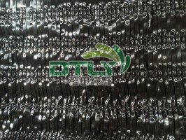 人参91视频在线免费